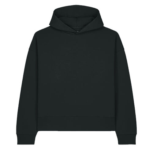 Voicer (STSU256) Thumbnail