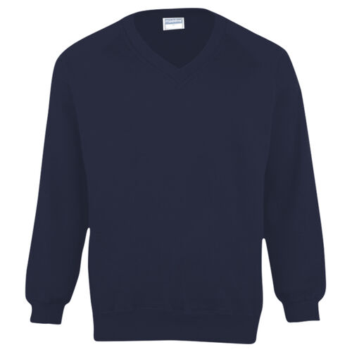 Coloursure™ v-neck sweatshirt Thumbnail