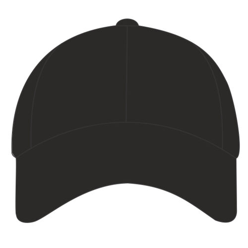Pro-style heavy cotton cap Thumbnail
