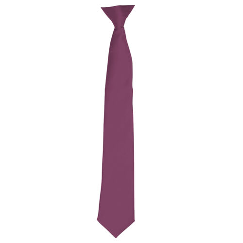 Premier 'Colours' Satin Clip Tie Thumbnail