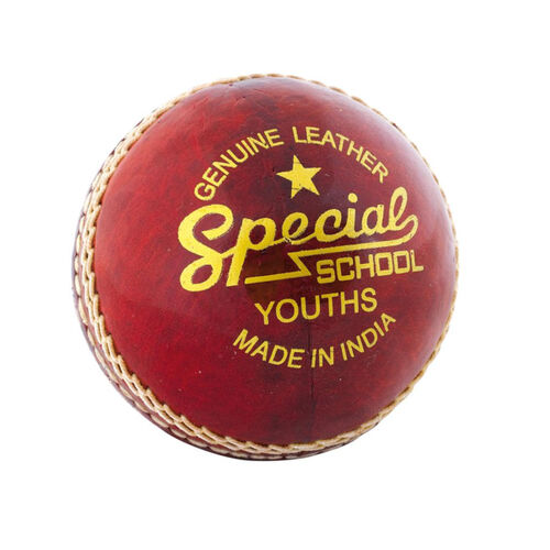 Readers Special School Cricket Ball Thumbnail