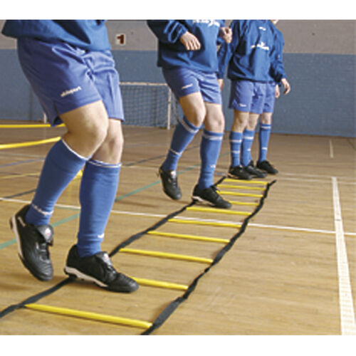 Precision Indoor (Weighted) Ladder - Yellow/Black Thumbnail