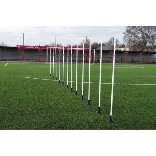 Precision Boundary Poles (Set of 12) Thumbnail